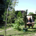 39, Subotica, Serbia